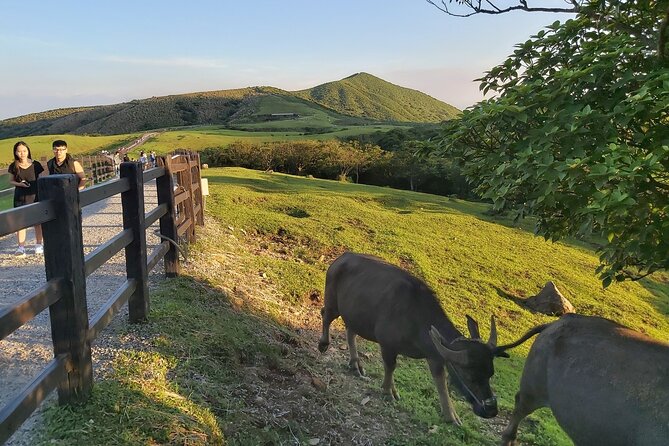 Private Yangmingshan National Park Hiking Day Tour from Taipei - Mt. Qixing for strong walkers