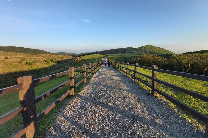 Private Yangmingshan National Park Hiking Day Tour from Taipei - Is $255 per person good value?