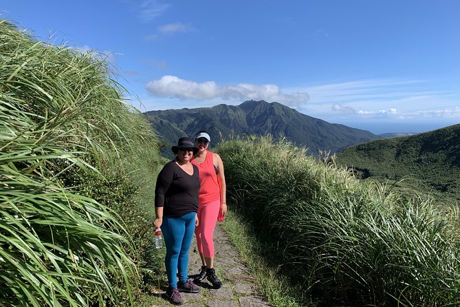 Private Yangmingshan Volcano Tour - Qingtiangang Grassland and its old lava terrace