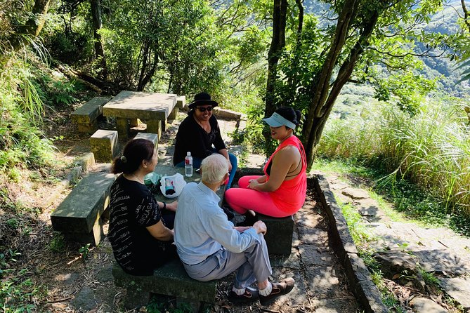 Private Yangmingshan Volcano Tour - How much value do you get for $95?