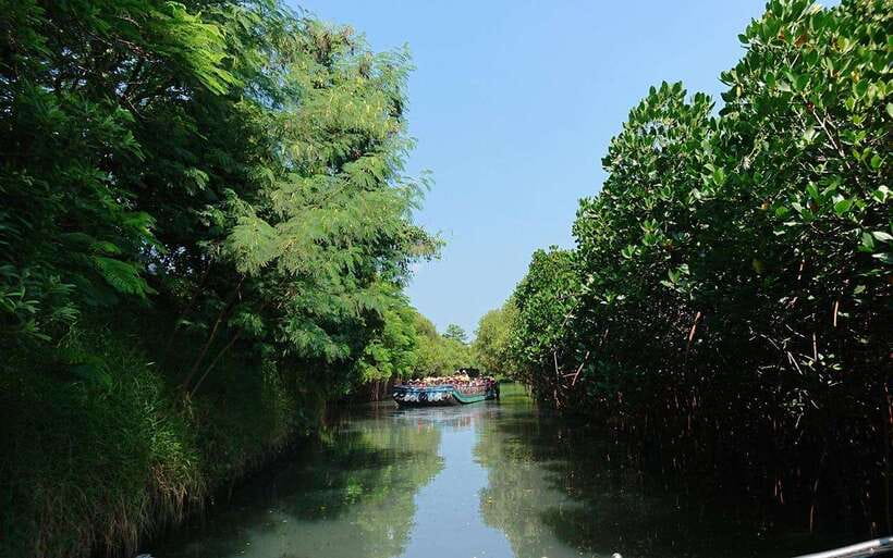 Tainan: Sicao Green Tunnel Scenic Boat Ride - Key points to know before you go