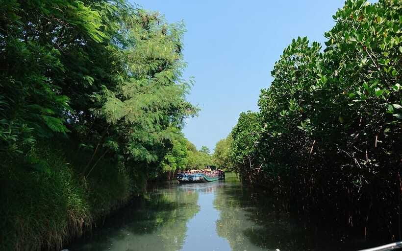 Tainan: Sicao Green Tunnel Scenic Boat Ride - Is $9 good value?