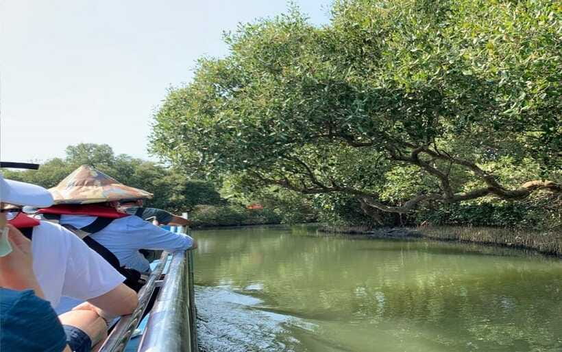 Tainan: Sicao Green Tunnel Scenic Boat Ride - Who will enjoy this ride most