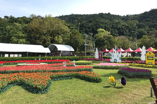 Taipei Cherry Blossom Day Tour to Yangmingshan and Tamsui - Who will get the most from this tour