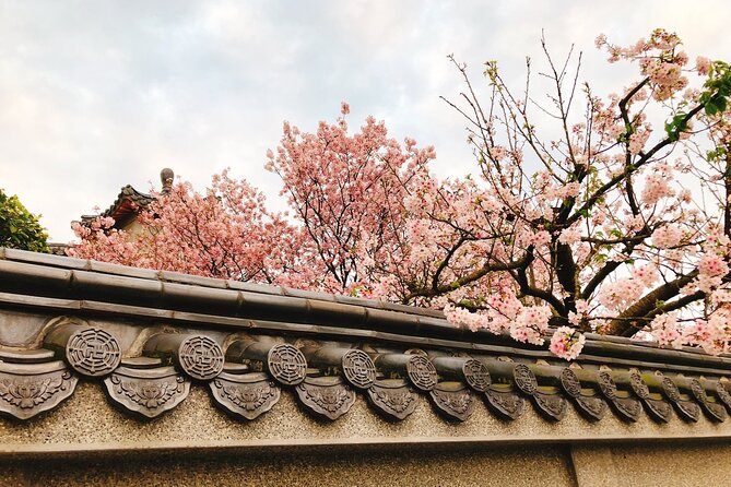 Taipei Cherry Blossom Day Tour to Yangmingshan and Tamsui - Starting at Chiang Kai-shek Memorial Hall