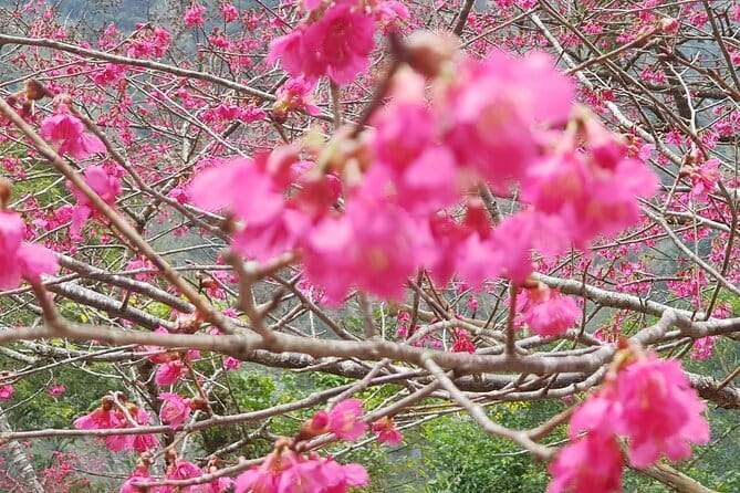 Taipei City to Taoyuan Airport Private Transfer - Punctuality is the strongest reason to choose it