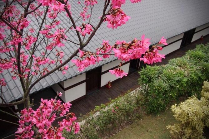 Taipei Day Tour including Taipei 101, Din Tai Fung and Hot Spring Experience - The Private Vehicle and Guide Make the Difference