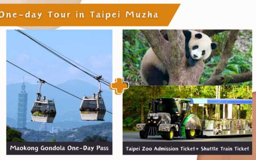 Taipei: Maokong Cable Car 1 day Pass - The Maokong Observation Deck and the best views