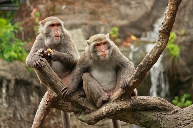 Taipei: Private Car Charter Tour - Key things to know before booking