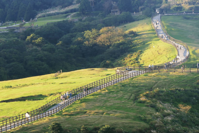 Taipei: Yangmingshan & Beitou Full-Day Tour - Final verdict: a useful first look at northern Taipei