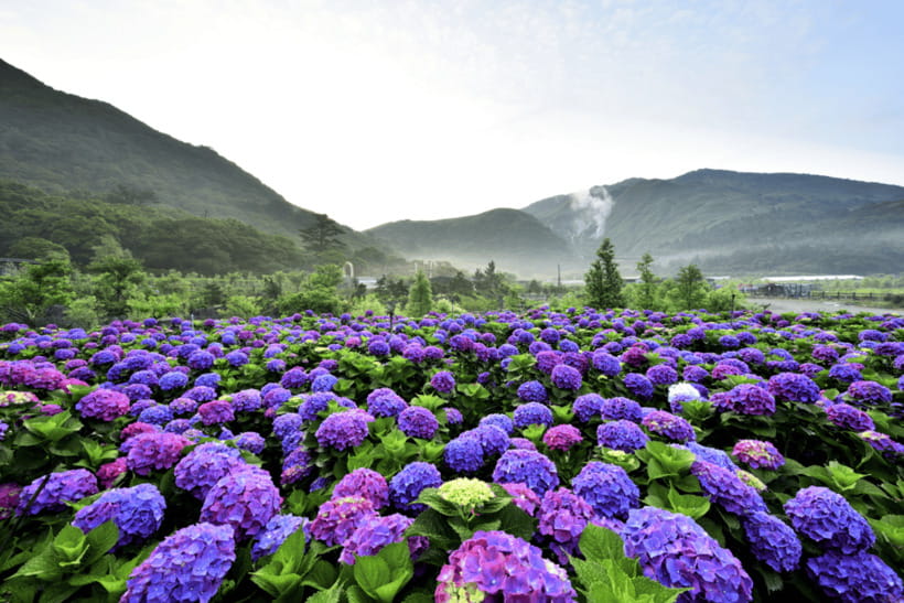 Taipei: Yangmingshan, Shifen, Jiufen & Yehliu Private Tour - Guides, transport, and the feel of the day