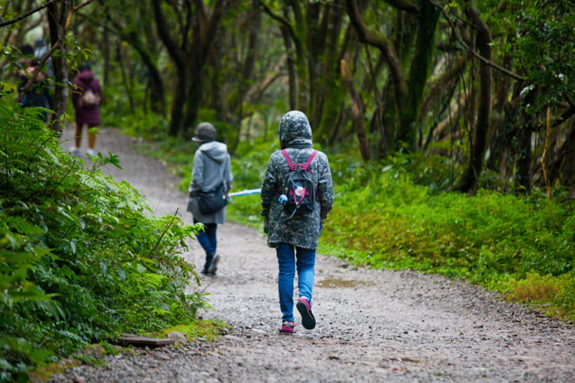 Taipei: Yangmingshan, Shifen, Jiufen & Yehliu Private Tour - What the $211 price really buys