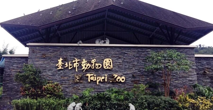Taipei: Zoo Entrance Ticket - Why this Taipei pairing works so well