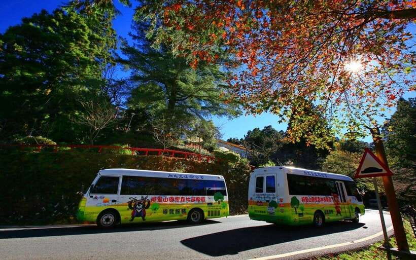 Taiwan: Alishan National Forest Recreation Area E-ticket - Wildlife and seasonal changes
