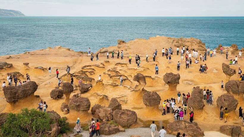 Taiwan Taipei: Customized Private Tour - Who should book this private Taiwan tour?