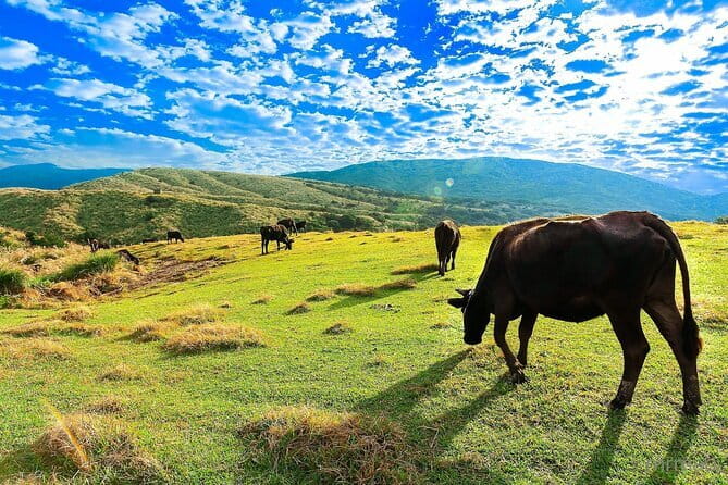 Taiwan TST : Private Tour Taipei, Yangmingshan, Beitou, Tamsui - Thermal Valley: steam, sulfur, and a Monday warning