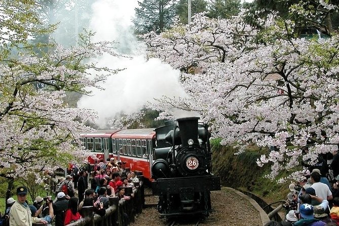 Two-day Sun Moon Lake & Alishan Forest Park Tour Package - The chocolate factory stop adds variety