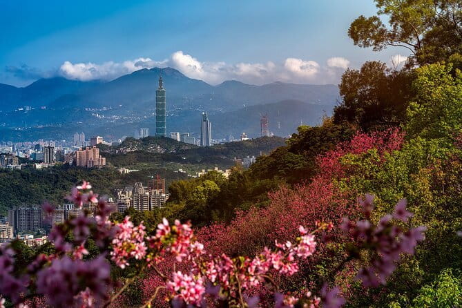 Vintage Taipei - Best of Taiwan & Sunset Walking Tour (Tip-based) - Who should book this Taipei walking tour?