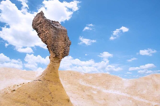 Yehliu, Jiufen & Shifen Taiwans North Coast Day / Night Tour - Who should book this North Coast tour?